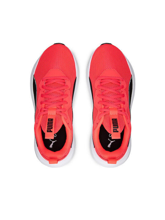 Incinerate Sport Shoes Training Pink