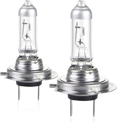 AMiO Lamps Car H7 Halogen 12V 55W 2pcs