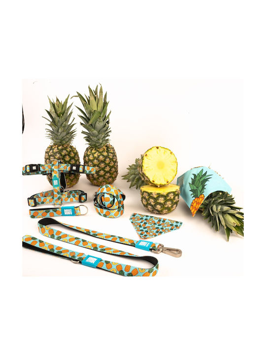 Max & Molly Sweet Pineapple Κολάρο Σκύλου XSmall 10mm x 22 - 35cm