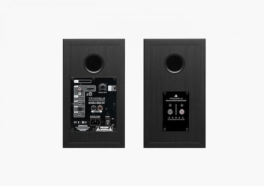 Triangle Borea Active BR02 BT Home Entertainment Active Speaker 2 No of Drivers with Bluetooth 100W Black (Pair)