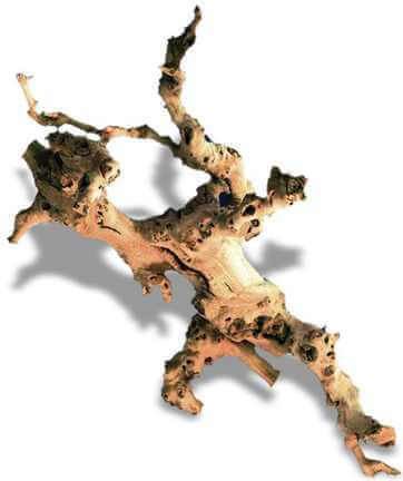 Croci Wine Wood Διακοσμητικό Ξύλο Ενυδρείου M 30-45cm