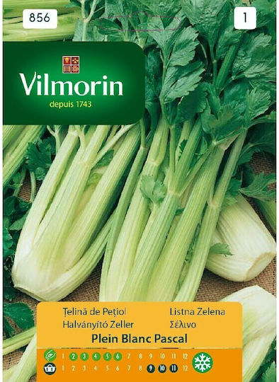 Vilmorin Σπόροι Σέλινου Pascal 5gr