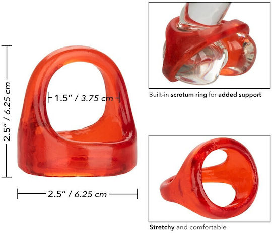 Calexotics Colt XL Snug Tugger Dual Support Ring Red