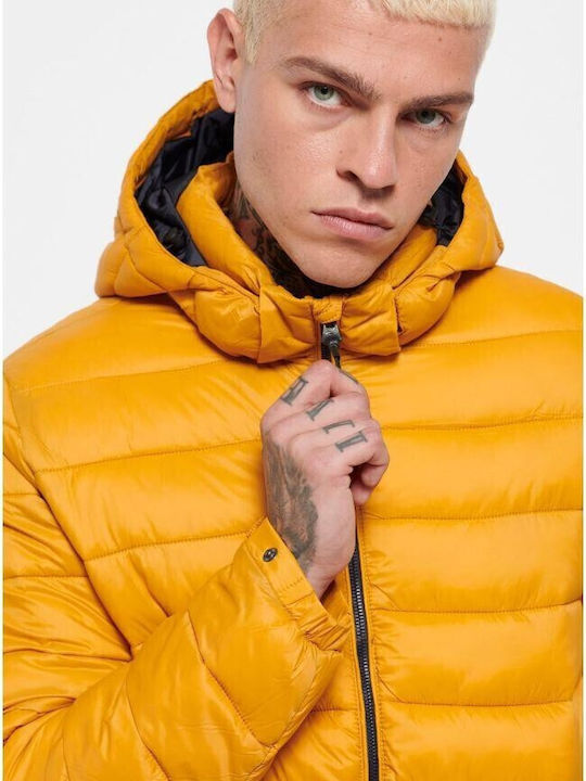 Winter Jacket Puffer Amber Yellow