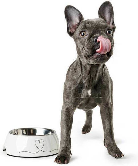 Hunter Valencia Stainless Steel Bowl Food & Water for Dog & Cat 350ml in White Color