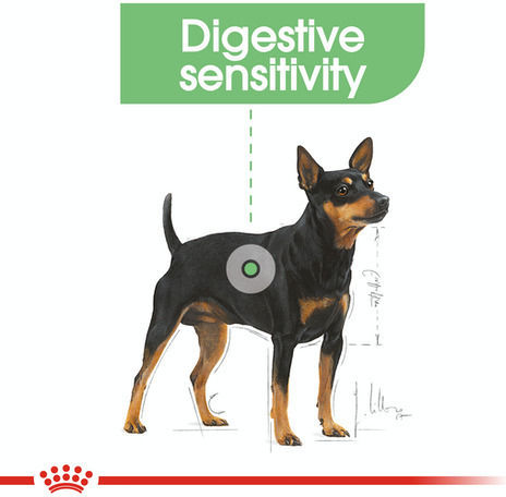 Royal Canin Digestive Care Wet Dog Food in Diet Pouch with Meat 85gr