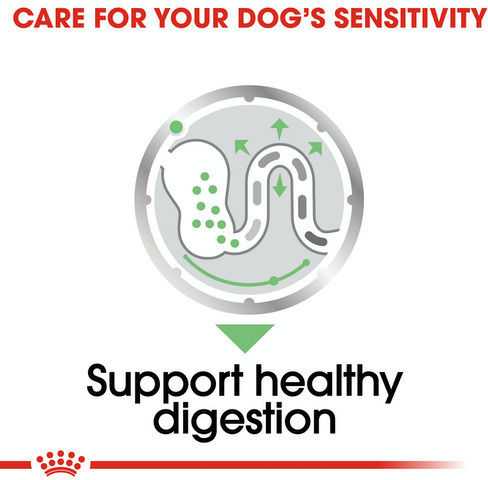Royal Canin Digestive Care Wet Dog Food in Diet Pouch with Meat 85gr
