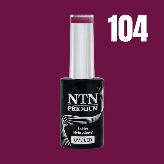 NTN Premium Semi-Permanent Nail Polish 104 5ml 1pcs