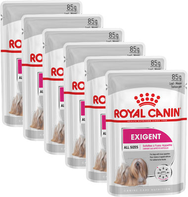 Royal Canin Exigent Wet Dog Food Pouch with Meat 6 x 85gr