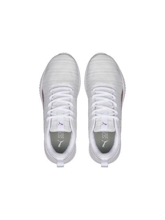 Flyer Flex Sport Shoes Running White