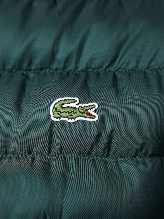 Winter Jacket Puffer Green