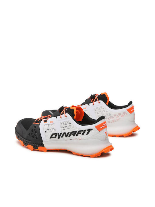 Sky Dna Bărbați Pantofi sport Alergare Multicolor