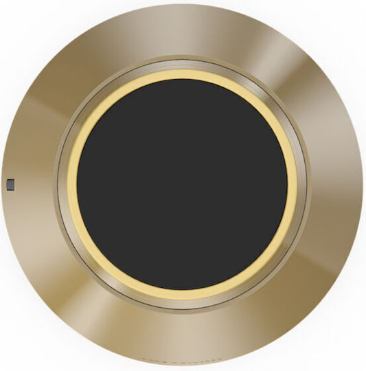 Bang & Olufsen Beosound 1 Bluetooth-Lautsprecher 60W mit Akkulaufzeit bis zu 4 Stunden Gold
