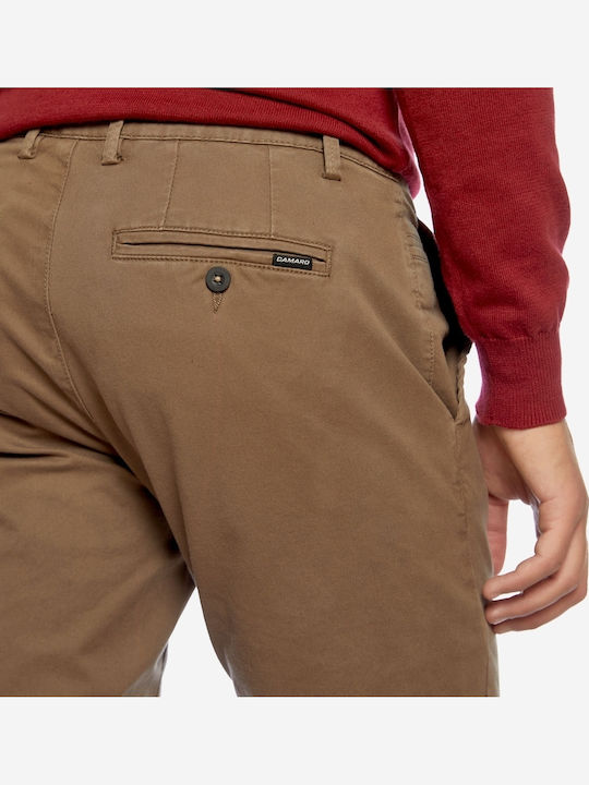 Trousers Elastic Cigar