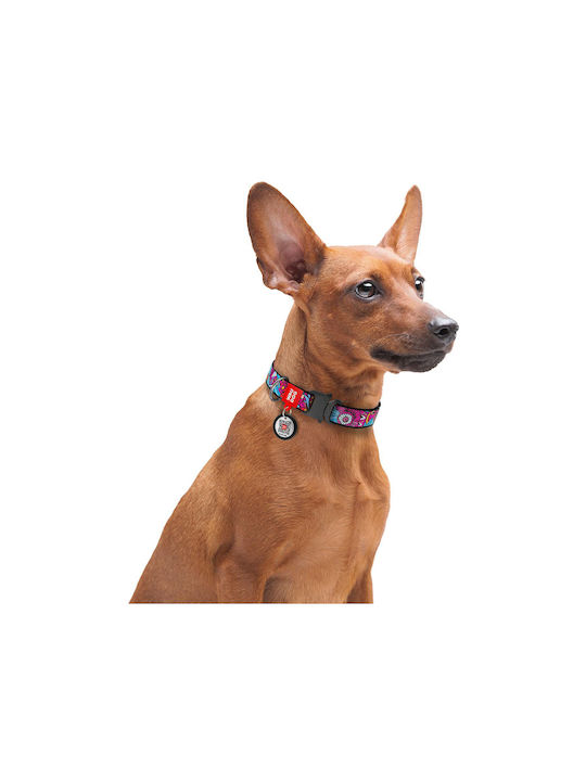 WauDog Summer Dog Collar Collar with Smart ID 15mm x 23-35cm 31-410