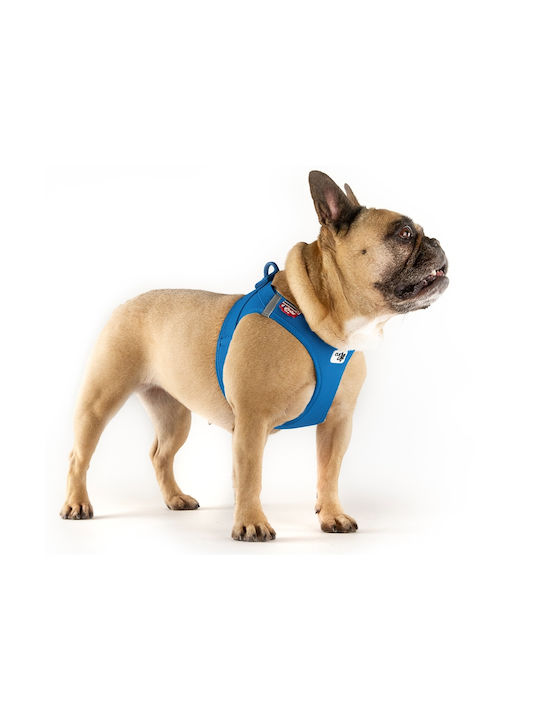 Curli Dog Harness Vest Clasp Air-Mesh Blue Small 38-43cm PN2874