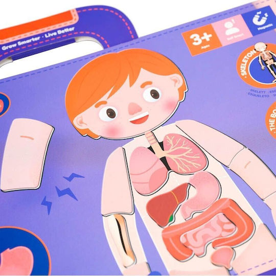 Mieredu Ανατομία STEM Образователна Игра Образователни за 3+ години Години