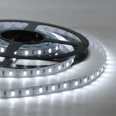 Fos me LED Streifen Versorgung 12V mit Kaltweiß Licht Länge 5m und 30 LED pro Meter SMD5050