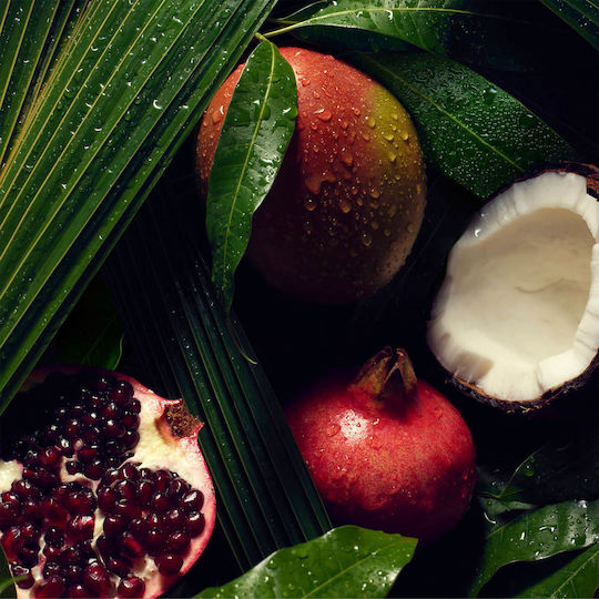 Aveda Nutri Plenish Light Moisture Σαμπουάν Ενυδάτωσης για Όλους τους Τύπους Μαλλιών 250ml