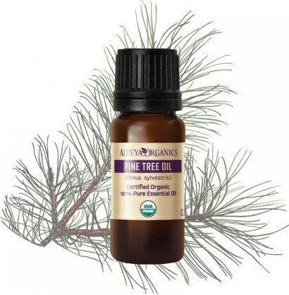 Alteya Organics Tree Essential Organic Pine Essential Oil 10ml