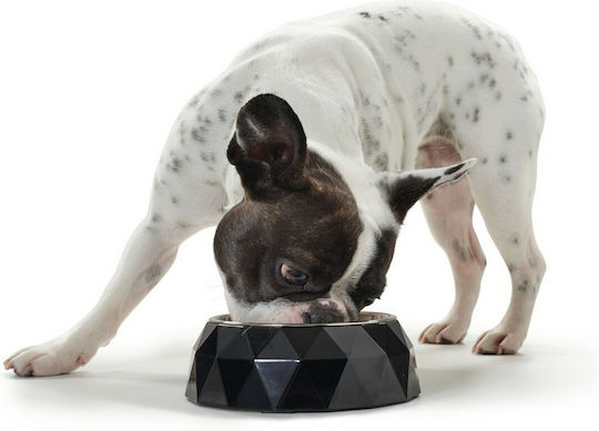 Hunter Kimberley Stainless Steel Bowl Food & Water for Dog & Cat 160ml in Black Color