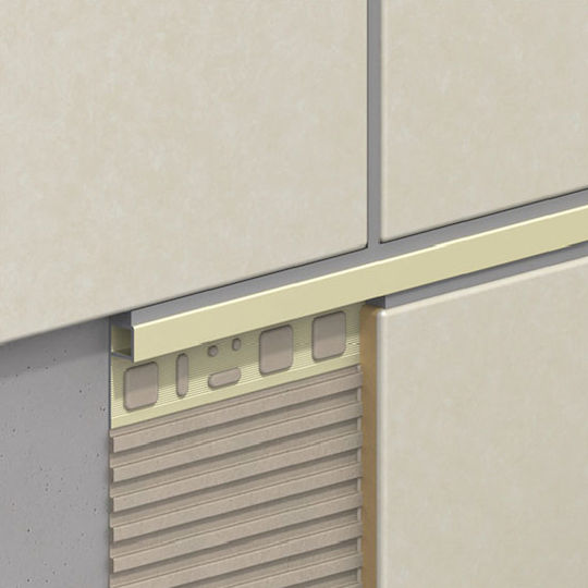 Alfer Aluminium Προφίλ Αλουμινίου για Πλακίδια 250x1.95x0.8εκ.