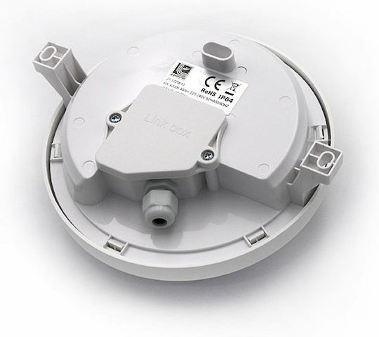Adeleq Wall-Mounted Outdoor Turtle Light LED IP64 6W with Natural White Light