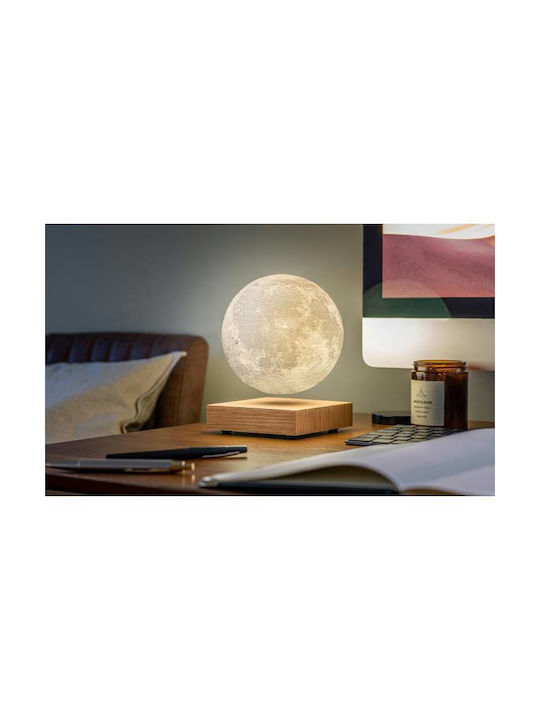 Gingko Decorative Lamp Moon Light LED White