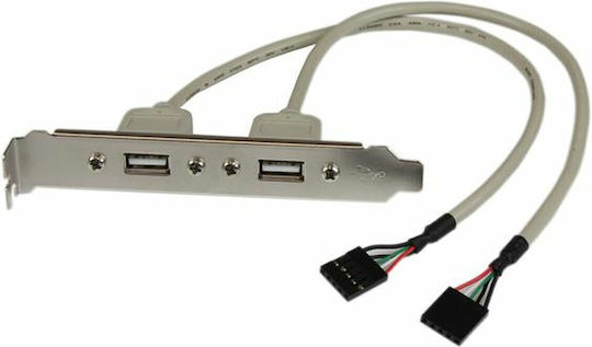 StarTech 2-Port USB-A Slot Plate for USB Pins Καλώδιο USBPLATE 1τμχ