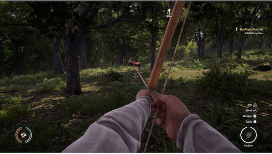 Medieval Dynasty PS5-Spiel