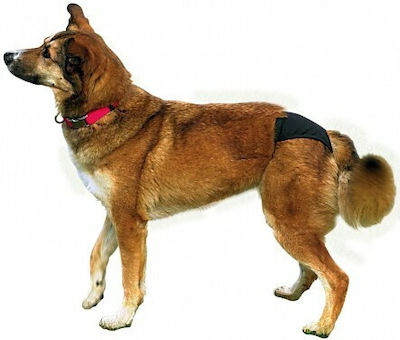 Nobby Deluxe Hundewindeln Zeitraum Schwarz Mittel 32 - 39cm 75347