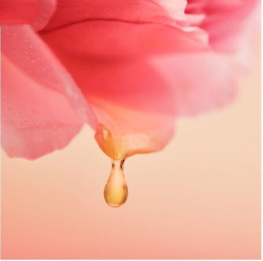 Jurlique Moisturizing & Brightening Rose Facial Oil 30ml