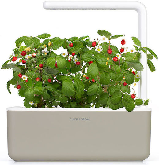 Click and Grow Σπόροι Φράουλας 3τμχ