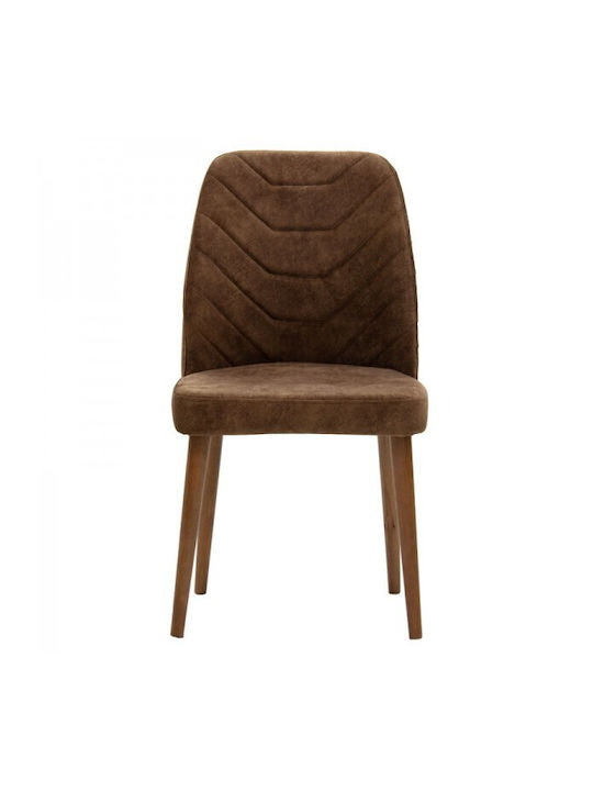 Adeline Stühle Speisesaal Brown antique / Walnut 1Stück 49x52x91cm