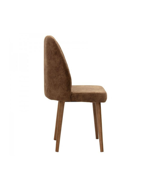 Adeline Stühle Speisesaal Brown antique / Walnut 1Stück 49x52x91cm