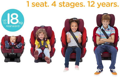 Καθισματάκι Αυτοκινήτου Every Stage Fx 0-36 kg με Isofix Coal