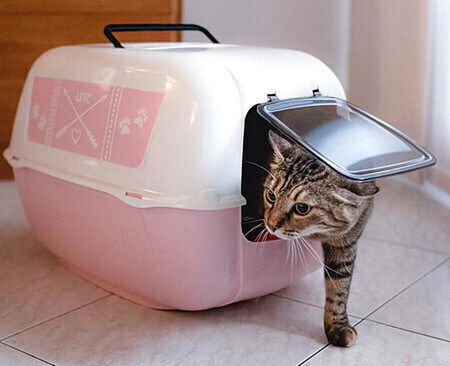 Ferplast Prima Cat Toilet Closed with Filter Pink L52.5 x W38 x H39.5cm