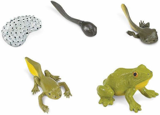Safari Ltd Κύκλος Ζωής ενός Βατράχου STEM Educational Game Knowledge for 4+ Years Old