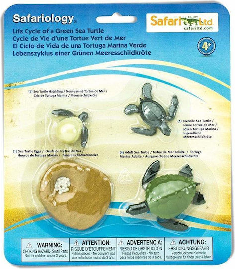 Safari Ltd Κύκλος Ζωής μιας Πράσινης Θαλάσσιας Χελώνας STEM Εκπαιδευτικό Παιχνίδι Γνώσεων για 4+ Ετών