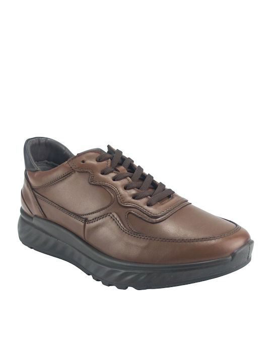 Sneakers Tabac Brown