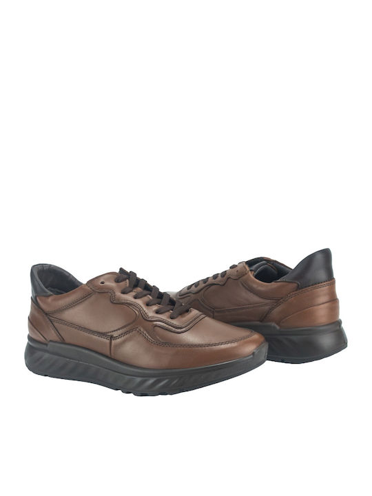 Sneakers Tabac Brown