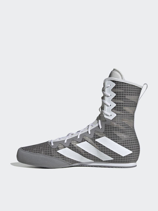 adidas Box Hog 4 Boxschuhe Grau