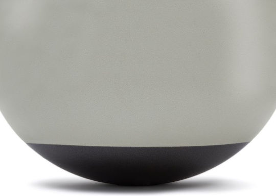 Reebok Ball Pilates 55cm in Silber Farbe
