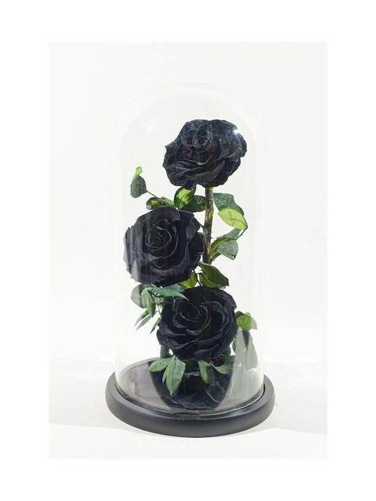 Eternal Rose Black 32cm in Yala 1pcs