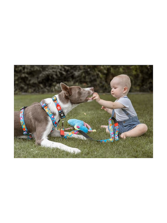 Max & Molly Little Monsters Ошийник XSmall 10мм x 22 - 35см Max & Molly Little Monsters Ошийник XSmall 10мм x 22 - 35см