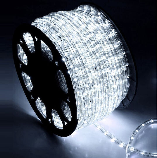 Adeleq Weihnachtsröhrenlichter Zweikanal 36 Glühbirnen 220V Blau mit Dimmer 1m