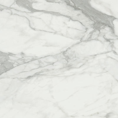 Ravenna Invictus Natural Floor Interior Matte Granite Tile 120x120cm White