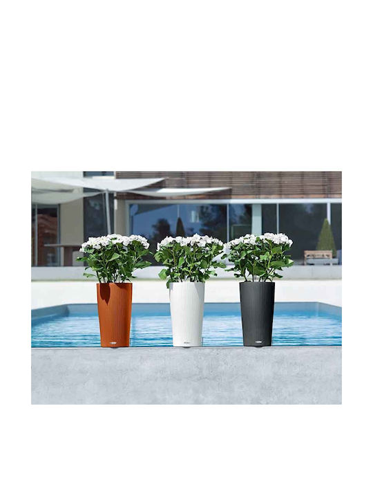 Lechuza Cilindro Self-watering Pot Plastic 32x32x56cm.