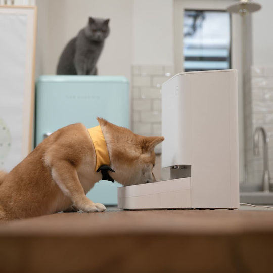 Xiaomi Mi Smart Pet Food Feeder Automatisch Edelstahl Schale mit Behälter Futter für Hund & Katze auf Basis von 3.6lt in Weiß Farbe
