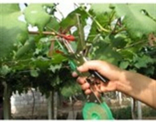 Stocker Plant Tie D3T1KO